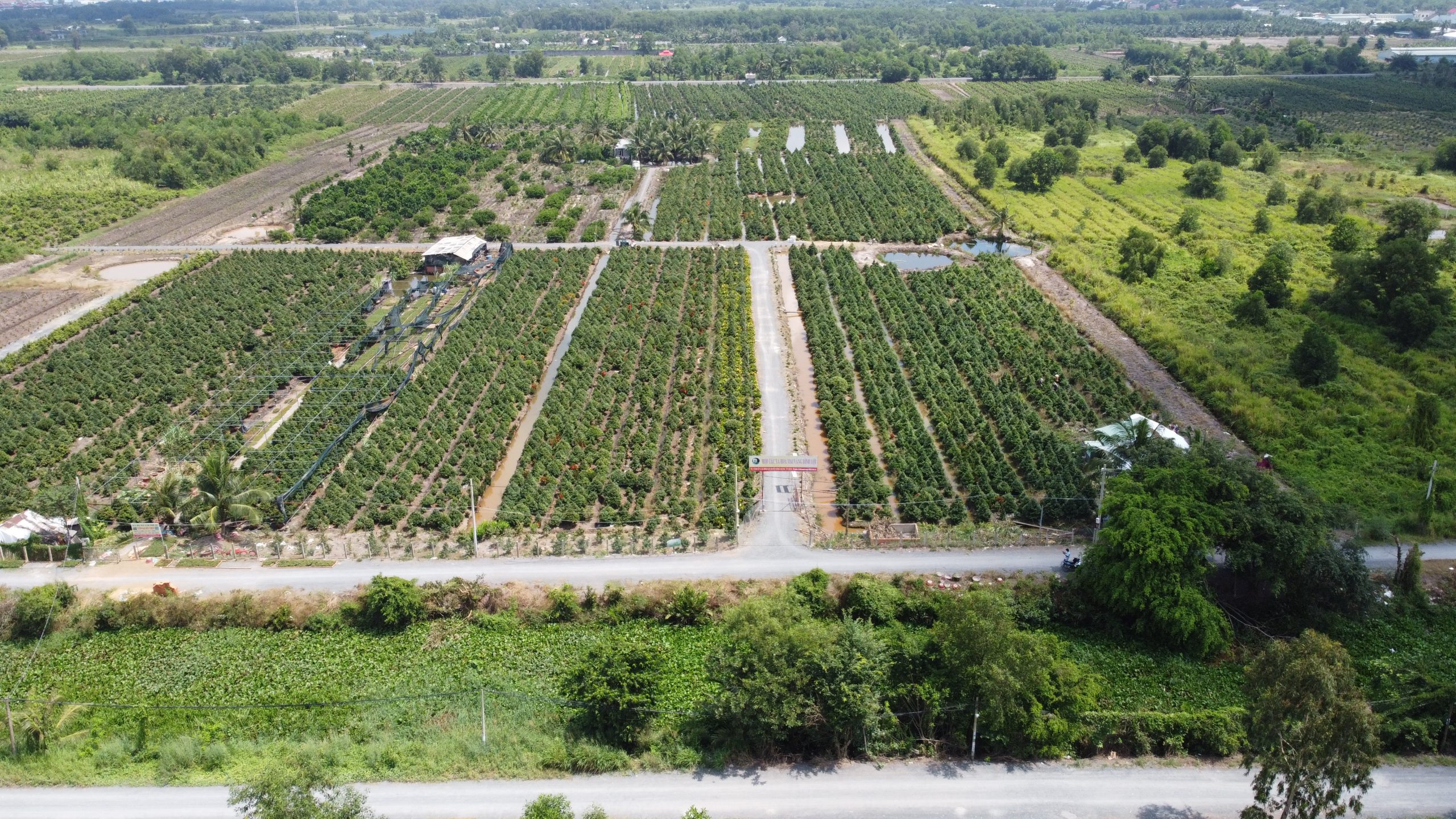 ĐẤT NỀN BIỆT LẬP