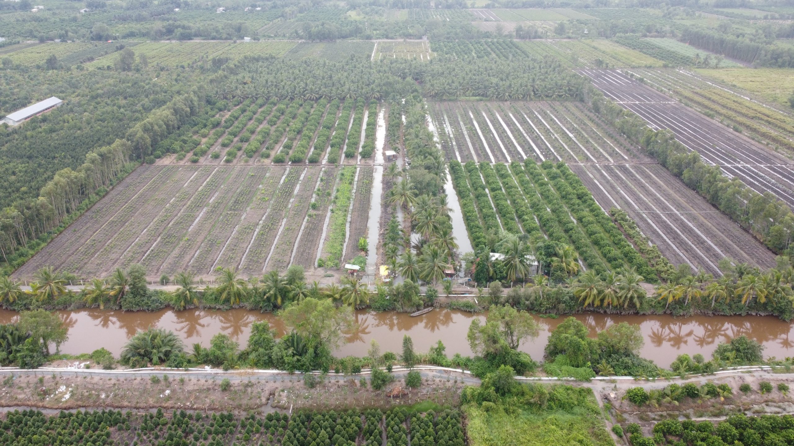 ĐẤT NỀN BIỆT LẬP